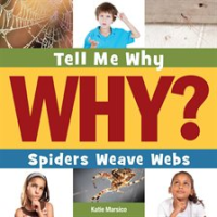 Spiders Weave Webs by Marsico, Katie